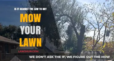 Is Neglecting Lawn Care a Legal Offense? Uncovering the Truth