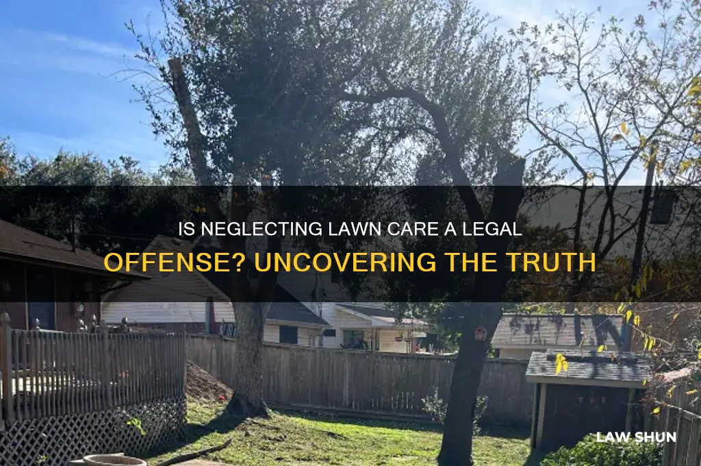 is it against the law to not mow your lawn