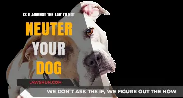 Is Skipping Dog Neutering Legal? Understanding Local Pet Laws