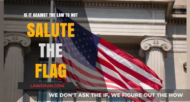 Is It Illegal to Skip Saluting the Flag? Legal Insights