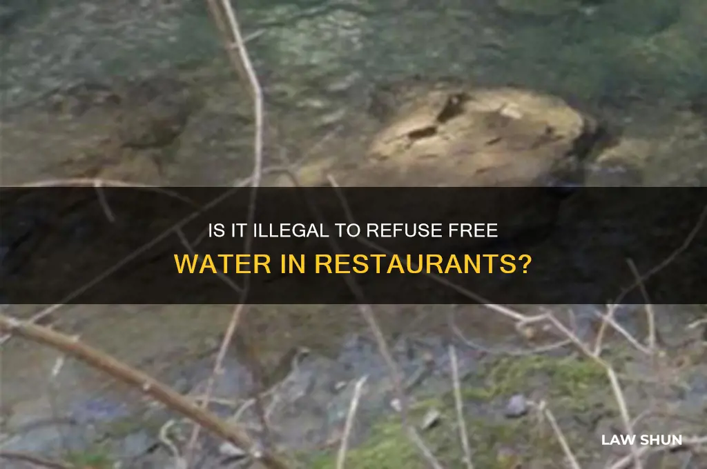 is it against the law to not serve free water