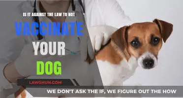 Is Skipping Dog Vaccinations Illegal? Legal Insights for Pet Owners