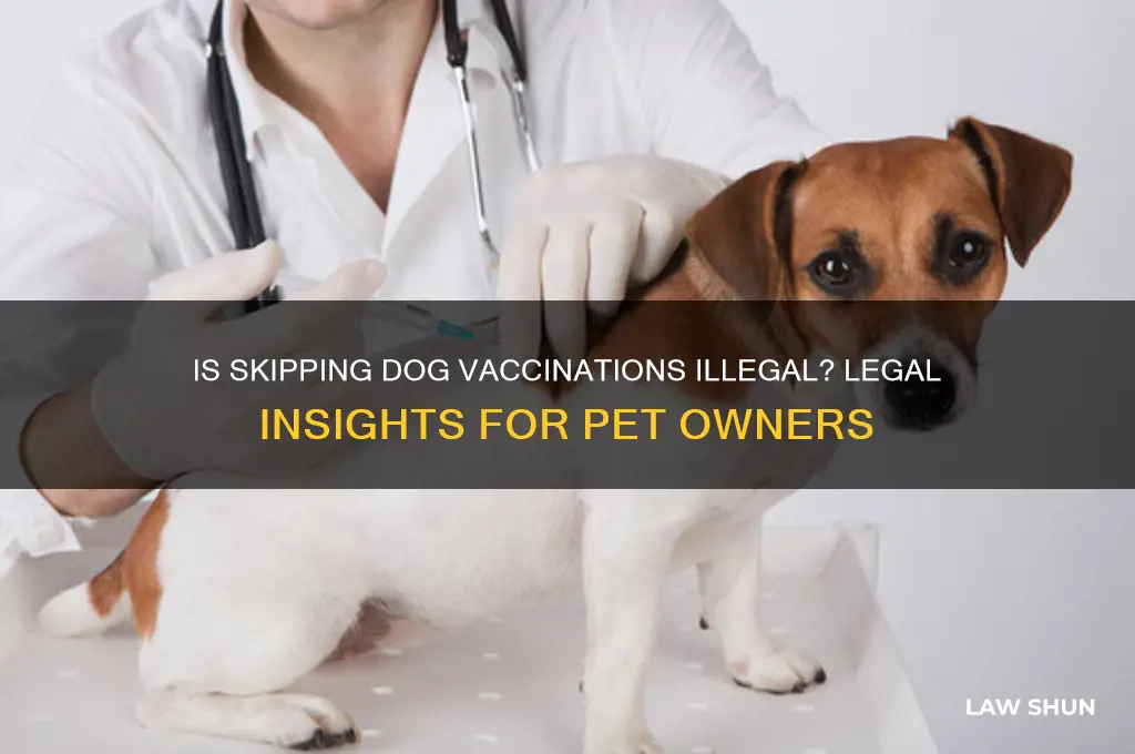 is it against the law to not vaccinate your dog