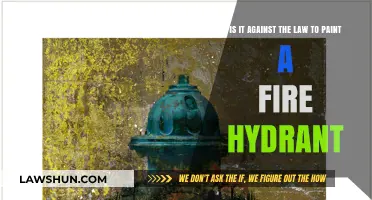 Painting Fire Hydrants: Legal or Illegal? Understanding the Law