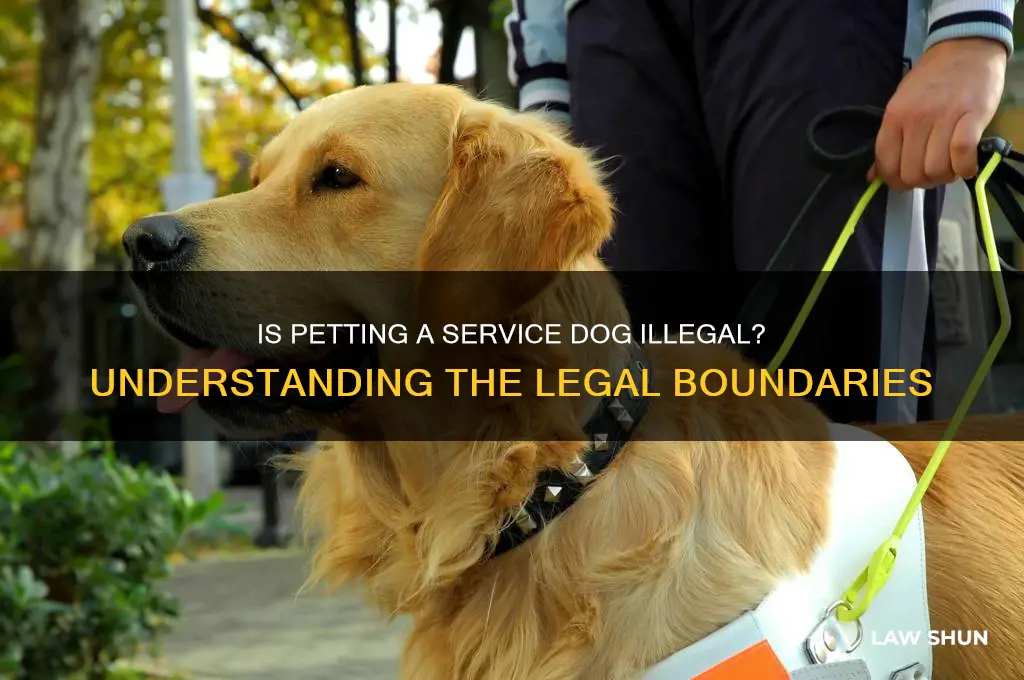 is it against the law to pet a service dog
