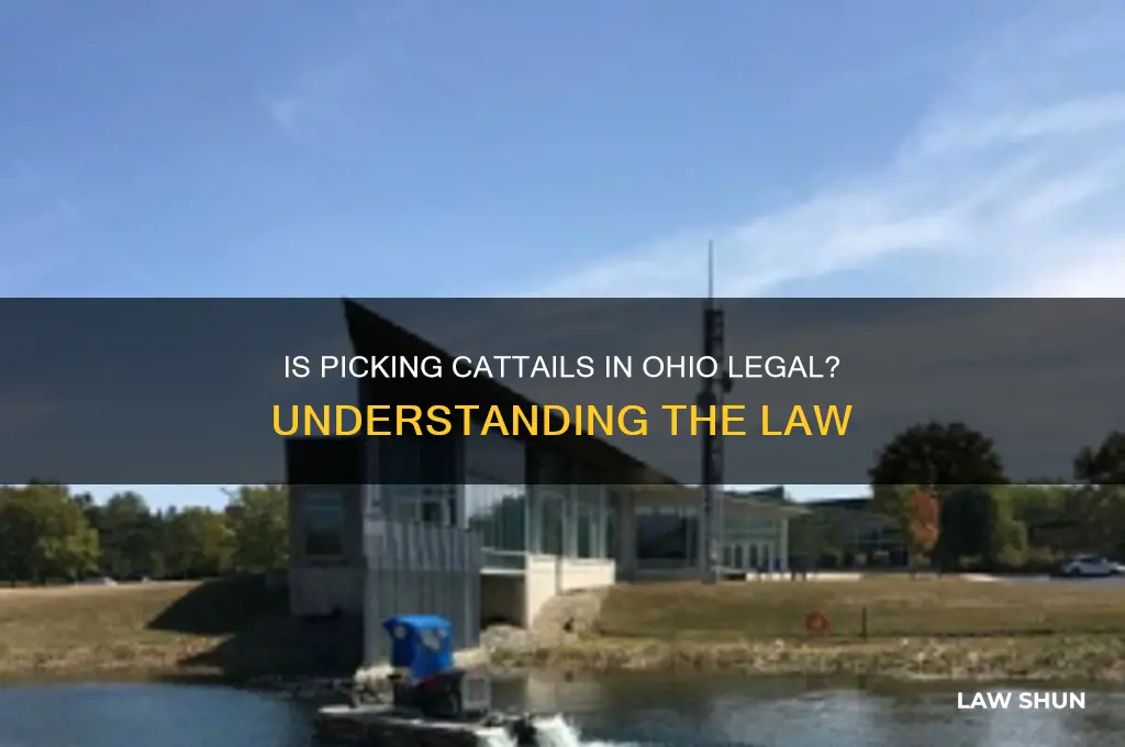 is it against the law to pick cattails in ohio