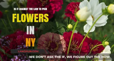 Picking Flowers in NY: Legal or Breaking the Law?