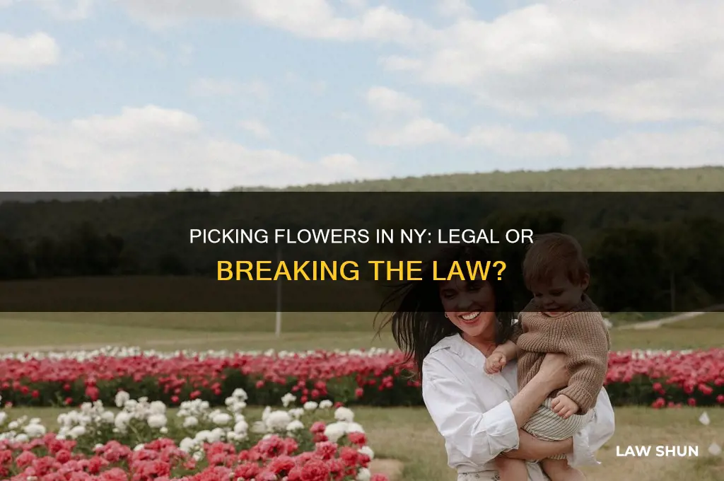 is it against the law to pick flowers in ny