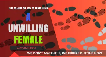 Propositioning Unwilling Females: Legal Boundaries and Consequences Explained