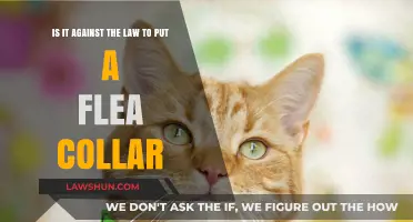 Is Using a Flea Collar on Pets Legally Permissible?