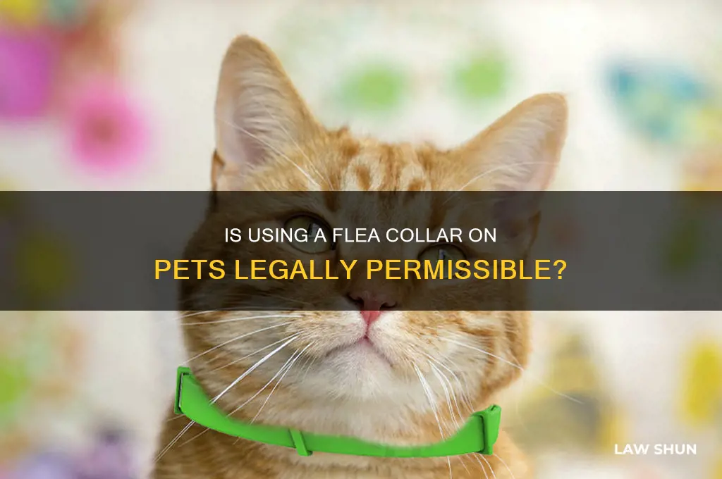 is it against the law to put a flea collar