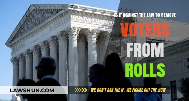 Is Removing Voters from Rolls Illegal? Understanding Election Laws