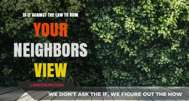 Is Blocking Your Neighbor’s View Illegal? Legal Insights Explained