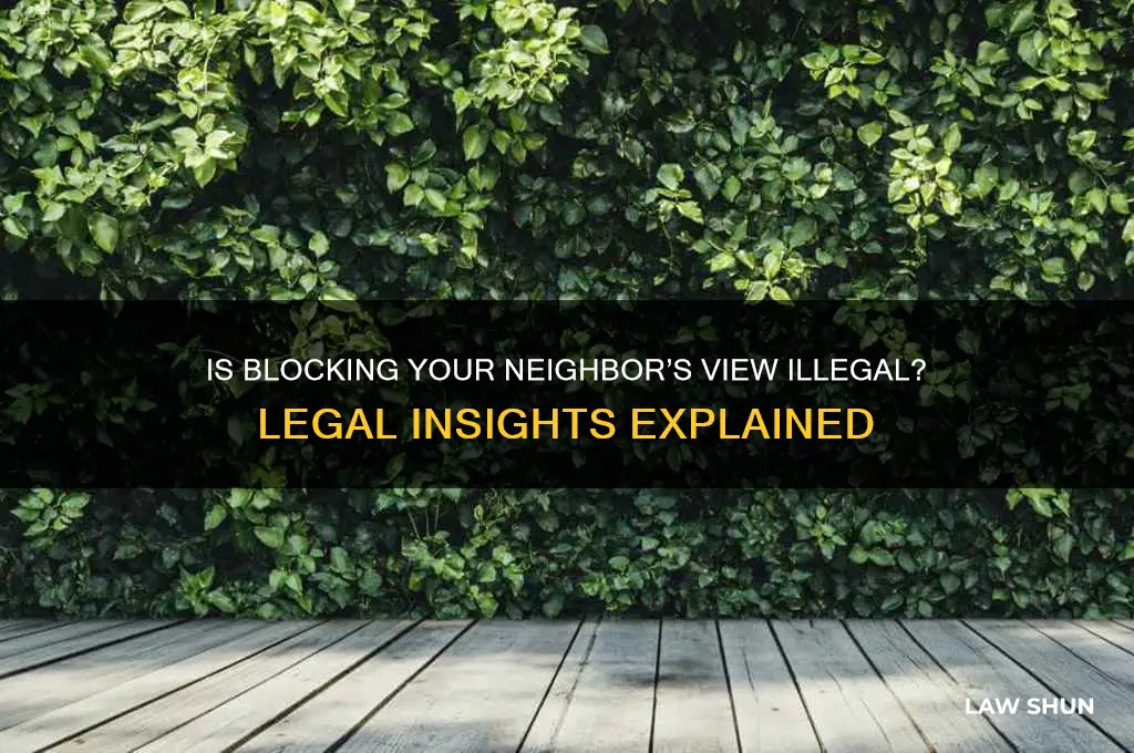 is it against the law to ruin your neighbors view