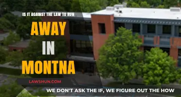 Is Running Away in Montana Illegal? Understanding the Legal Implications