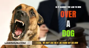 Is Running Over a Dog Illegal? Understanding Legal Consequences