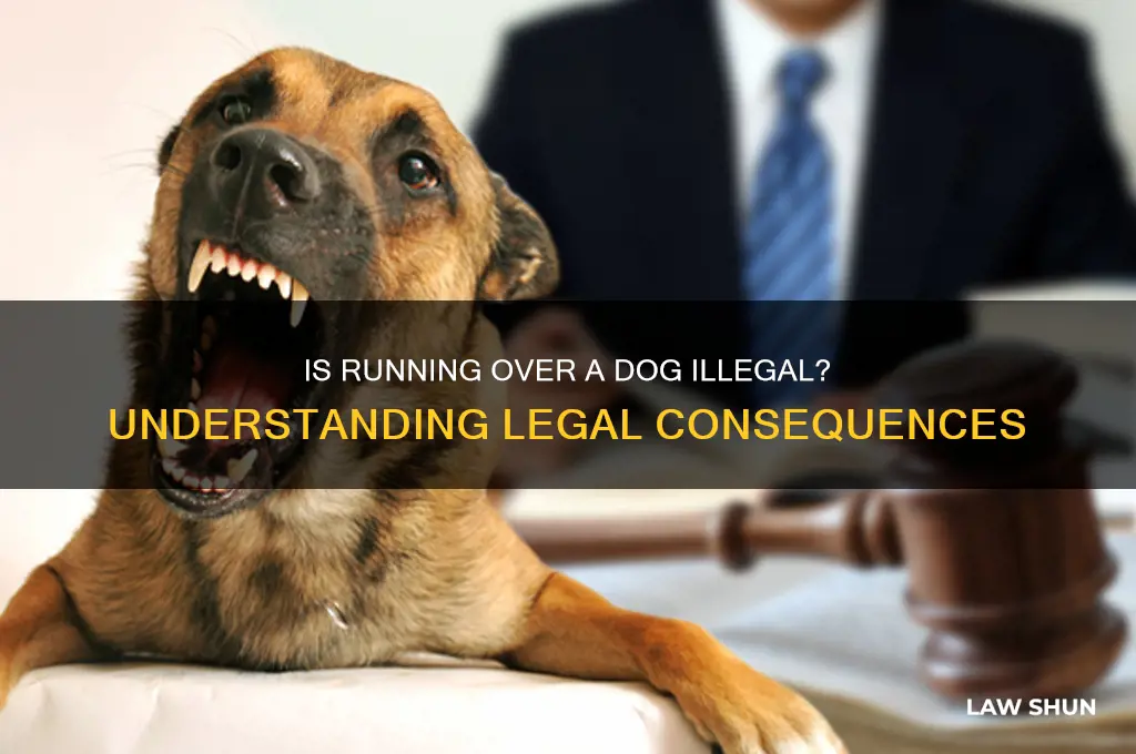 is it against the law to run over a dog
