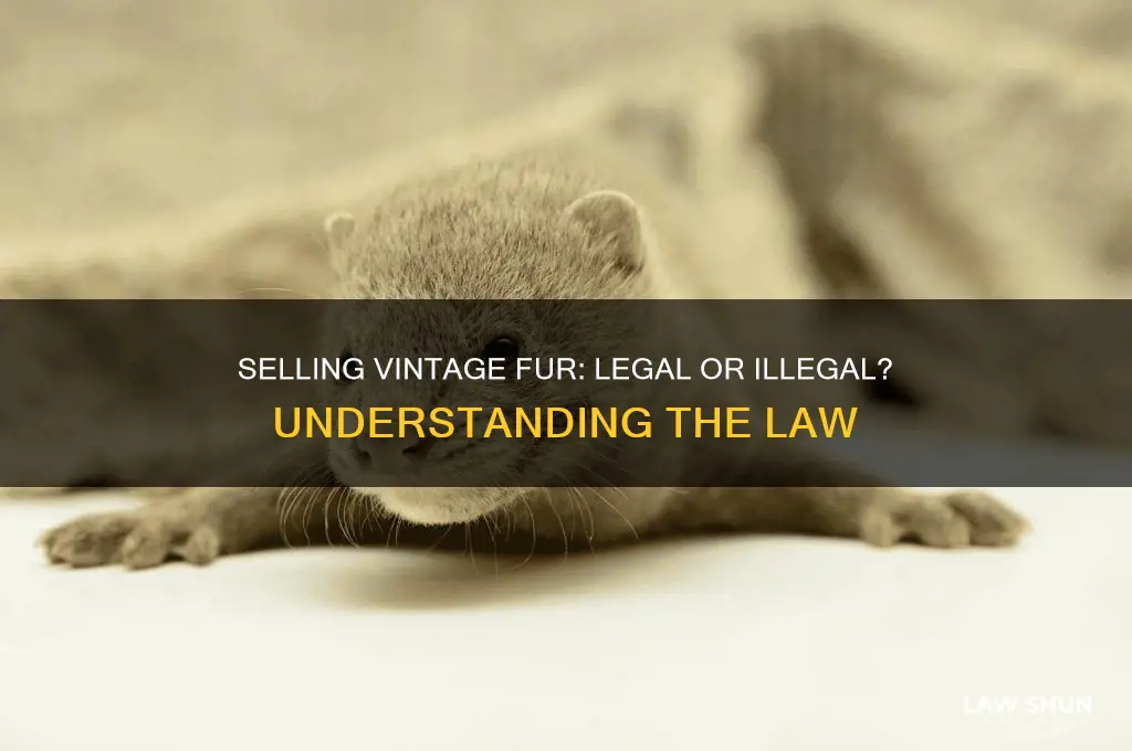 is it against the law to sell vintage fur clothing