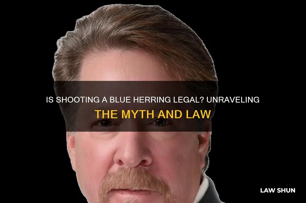 is it against the law to shoot a blue herring