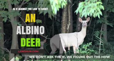 Is Shooting Albino Deer Illegal? Understanding Wildlife Protection Laws