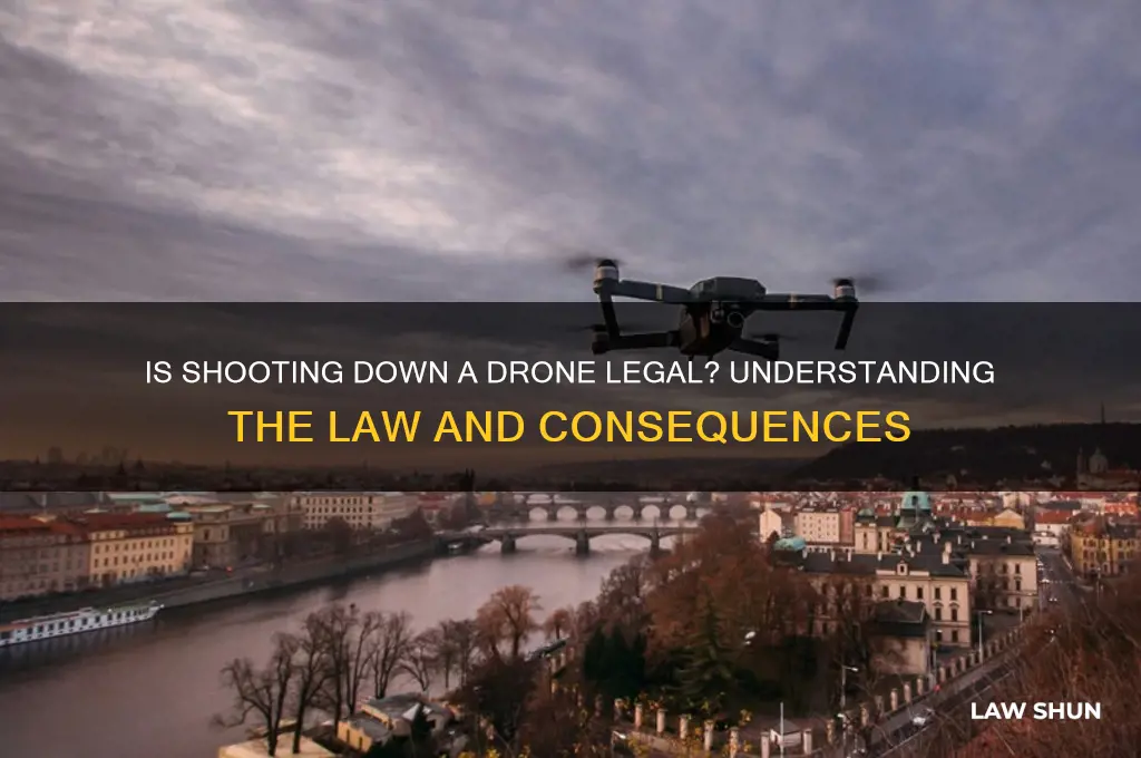 is it against the law to shoot down a drone