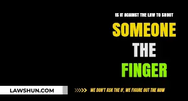 Is Flipping the Bird Illegal? Legal Insights on Gestures