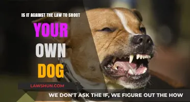 Is Shooting Your Own Dog Legal? Understanding the Law and Ethics