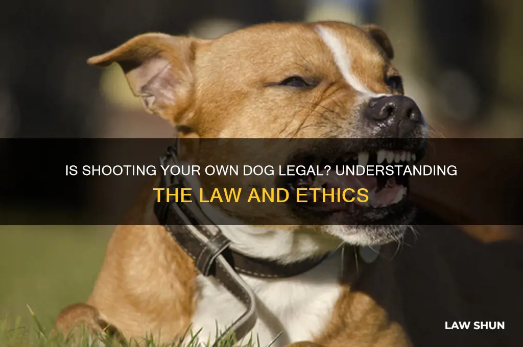 is it against the law to shoot your own dog