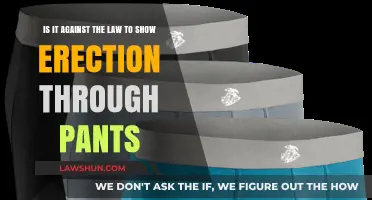 Public Indecency Laws: Are Visible Erections Through Pants Illegal?