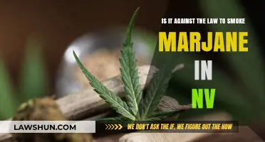 Is Smoking Marijuana Legal in Nevada? Understanding NV Cannabis Laws