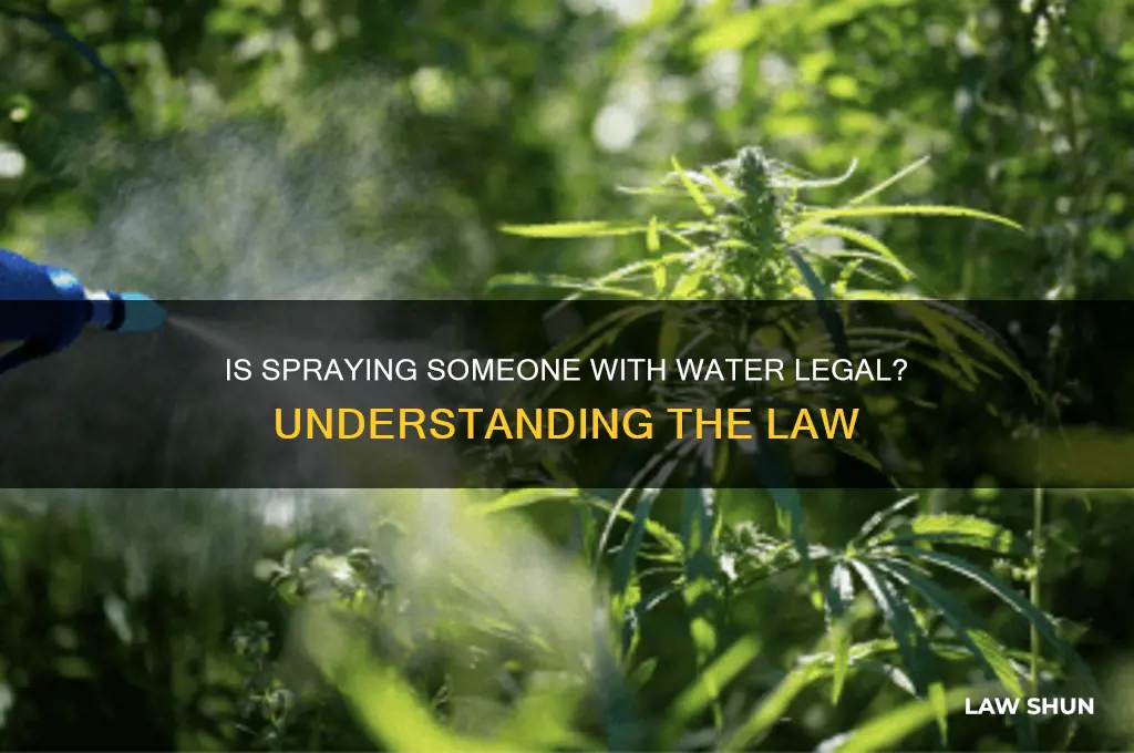 is it against the law to spray someone with water