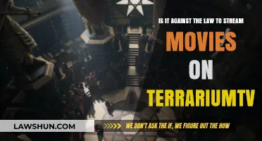 Is Streaming Movies on TerrariumTV Illegal? Legal Insights