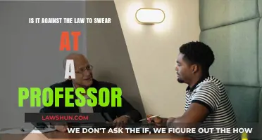 Swearing at Professors: Legal Consequences and Academic Boundaries Explored