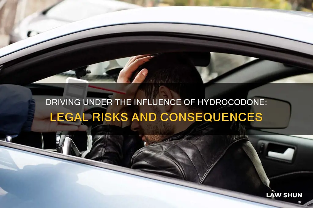 is it against the law to take hydrocodone while driving