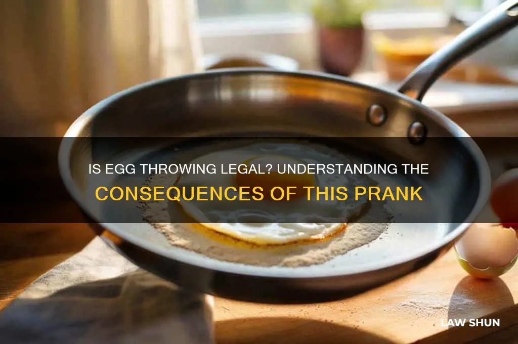 is it against the law to throw eggs at someone