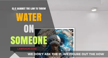 Is Throwing Water on Someone Illegal? Legal Insights Explained