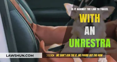 Traveling with an Unrestrained Pet: Legal or Lawbreaking?