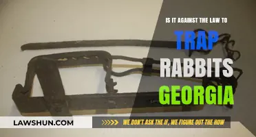 Is Trapping Rabbits Legal in Georgia? Understanding the Law