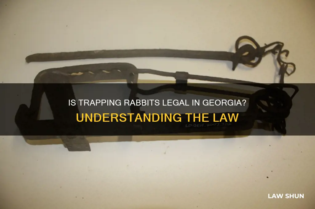 is it against the law to trap rabbits georgia