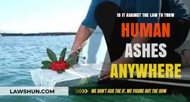 Is Scattering Human Ashes Anywhere Legally Permitted? Key Laws Explained