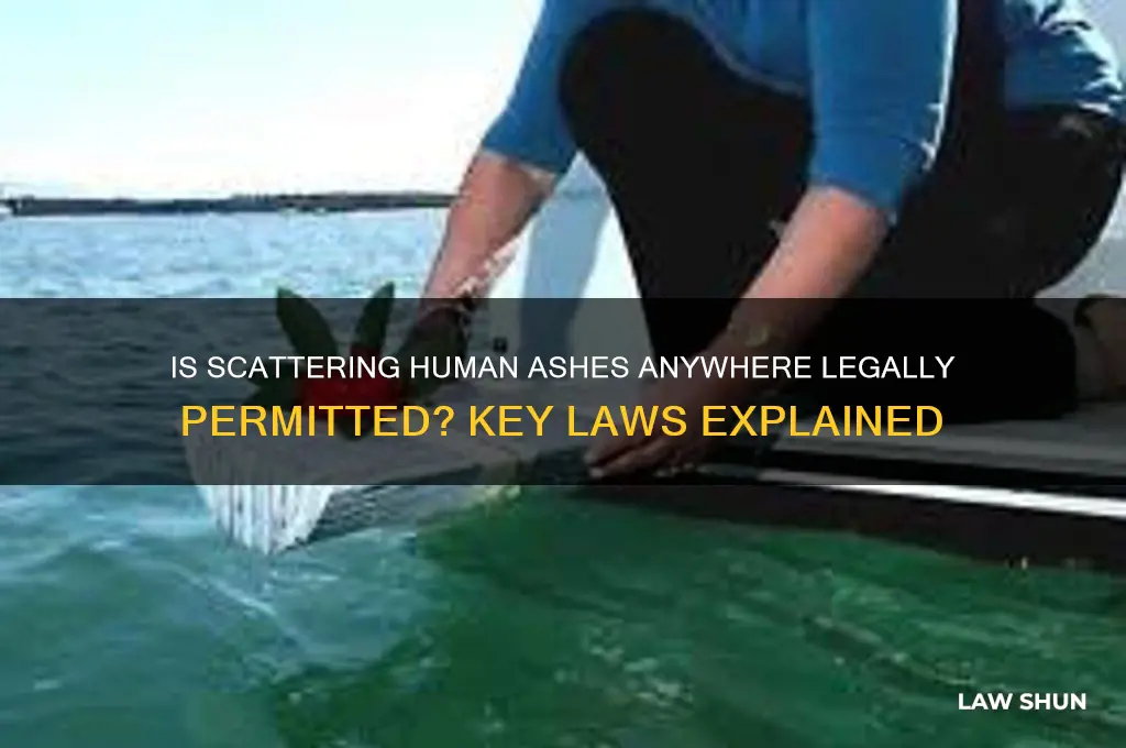 is it against the law to trow human ashes anywhere