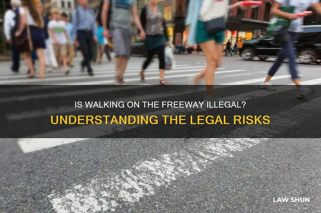 is it against the law to walk on the freeway