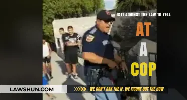 Yelling at Police: Legal or Illegal? Understanding Your Rights