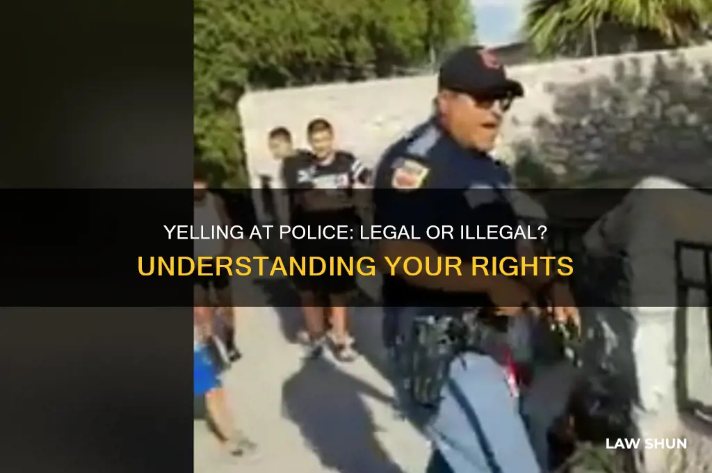 is it against the law to yell at a cop
