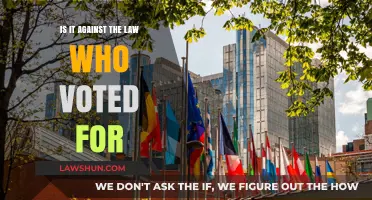Is Voting Disclosure Illegal? Understanding the Law and Privacy Rights