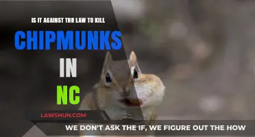 Is Killing Chipmunks Legal in North Carolina? Understanding the Law