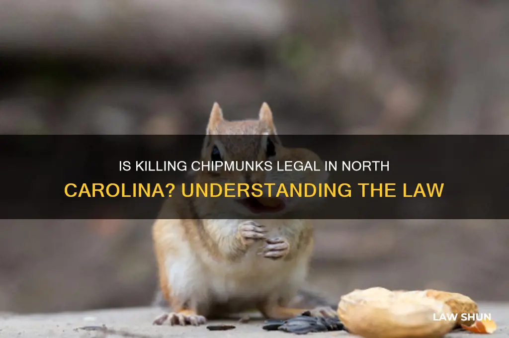 is it against thr law to kill chipmunks in nc