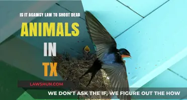 Is Shooting Dead Animals in Texas Legal? Understanding TX Wildlife Laws