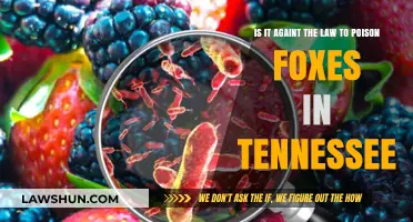 Is Poisoning Foxes in Tennessee Legal? Understanding the Law