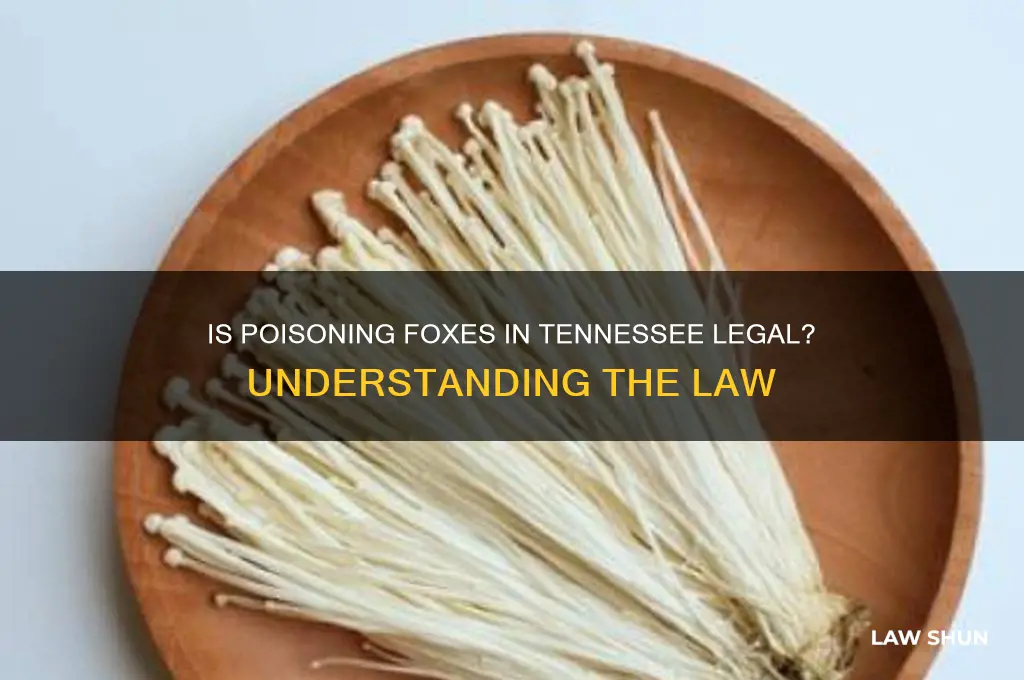 is it againt the law to poison foxes in tennessee